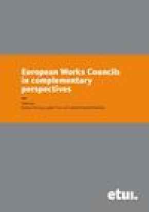European Works Councils in complementary perspectives